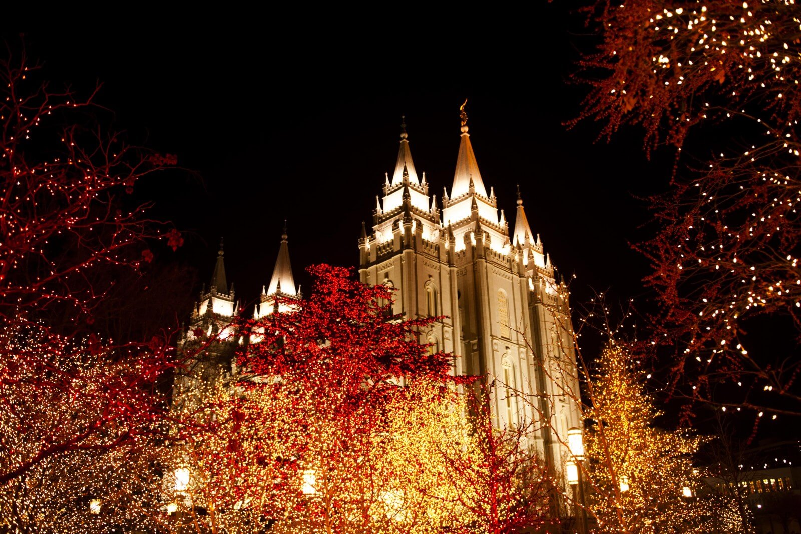 Love temple Christmas lights