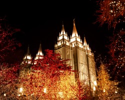 Love temple Christmas lights