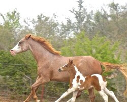 MOM  and  HER  LITTLE  ONE