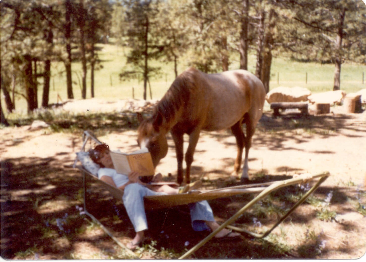 reading "Training Western Horses"
