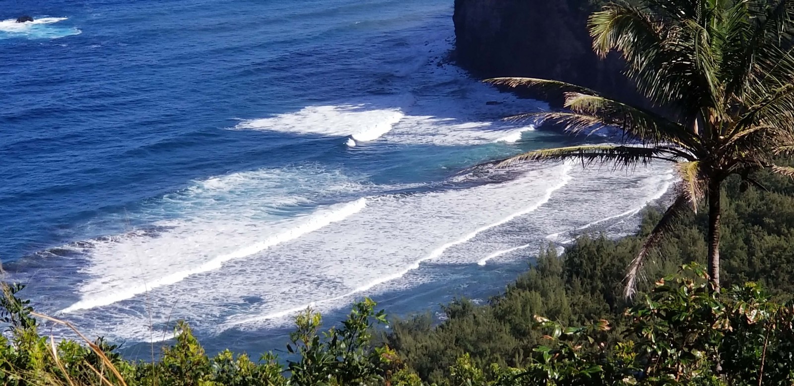 Hawaii 2019