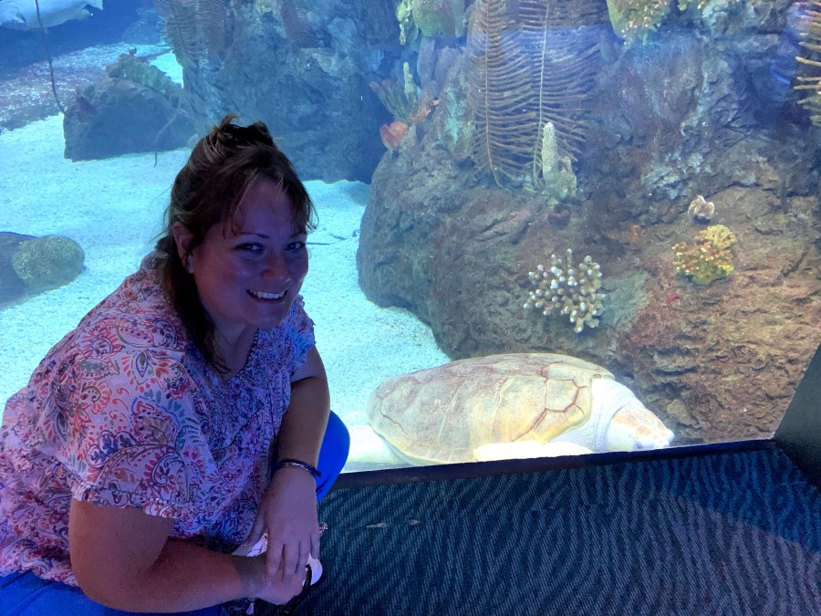 The aquarium at Nebraska zoo