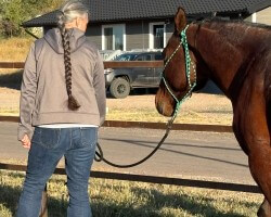 My granddaughter is giving me horse lessons.