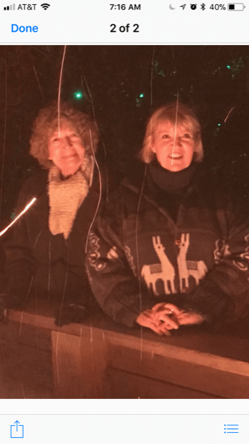 Took my fun 88 yr old aunt with me to visit my friend Judy in VA. We went to Christmas light display.  Snow in front of a warming fire.