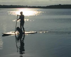 Love paddle boarding with my dog