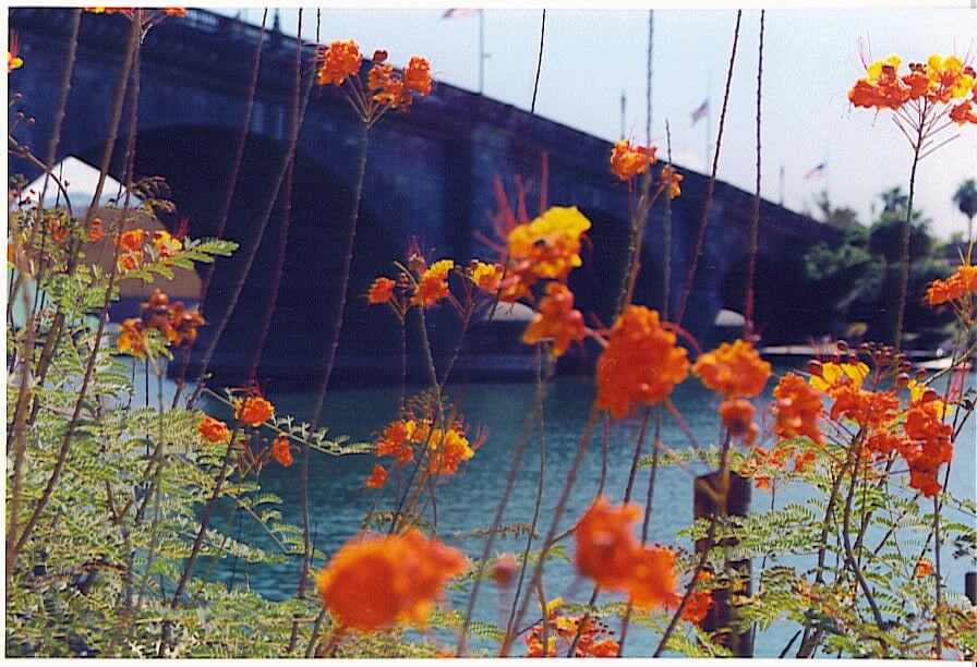 THE  LONDON  BRIDGE  -  LAKE HAVASU CITY,  ARIZONA