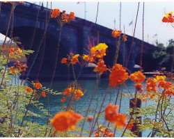 THE  LONDON  BRIDGE  -  LAKE HAVASU CITY,  ARIZONA
