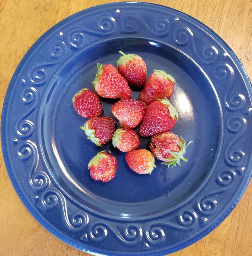 From my garden