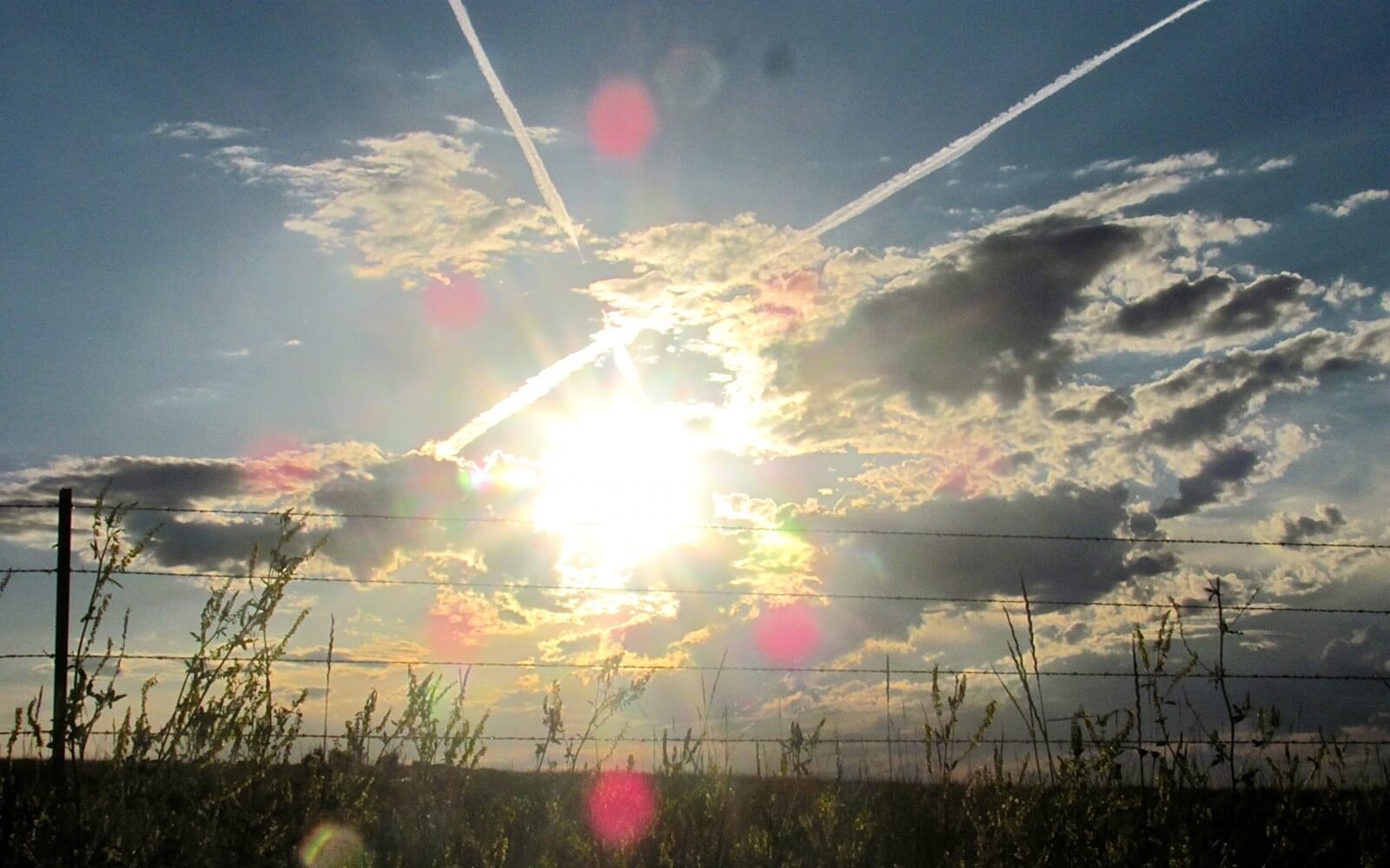 LOOKING  TOWARDS  THE  WEST,  IN  EASTERN,  MONTANA