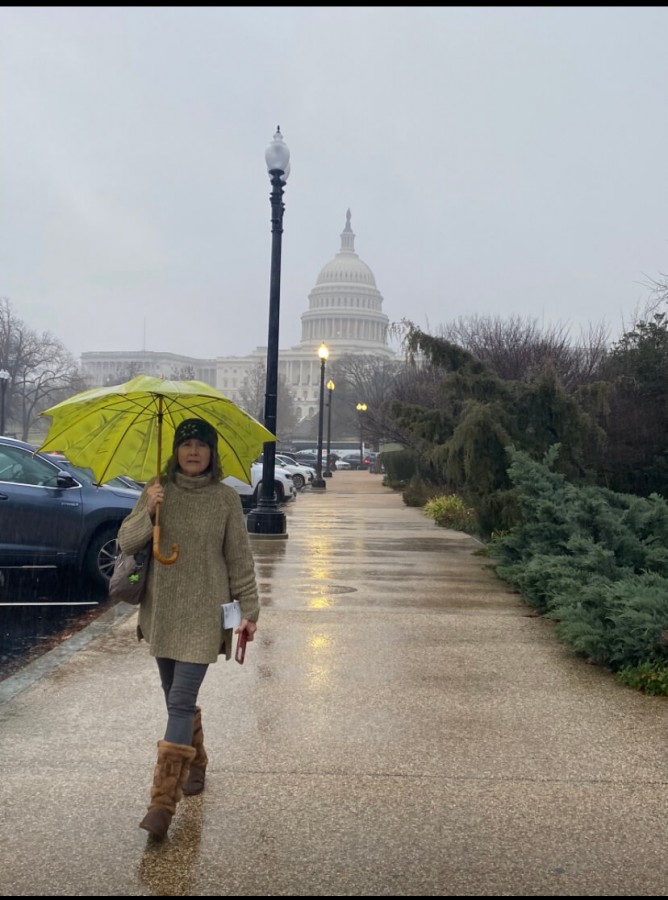 Visiting the Botanical Gardens (a favorite place of mine--as are ANY botanical gardens anywhere) in DC on a rainy day (after mission.)