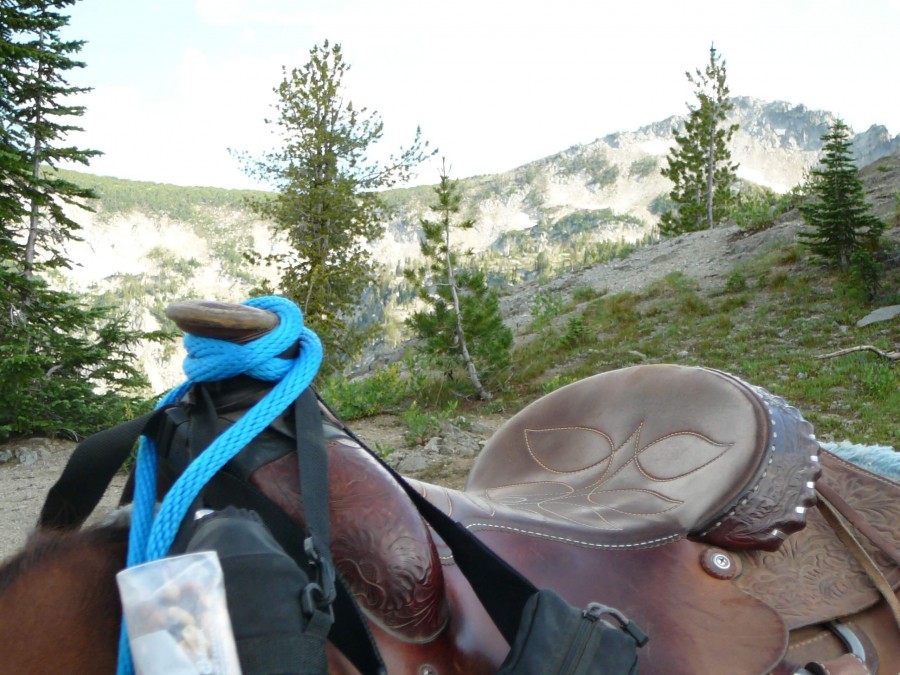 Wilson's Pass (horse trek)