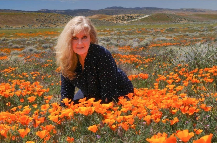 My daughter and I travel to California for the Poppy Bloom, and it was breathtaking!