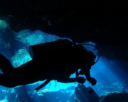 Cenote (cavern) Diving in Cozumel