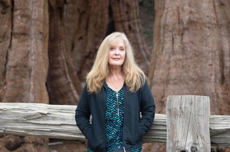 This photo is taken is Sequoia National Park.