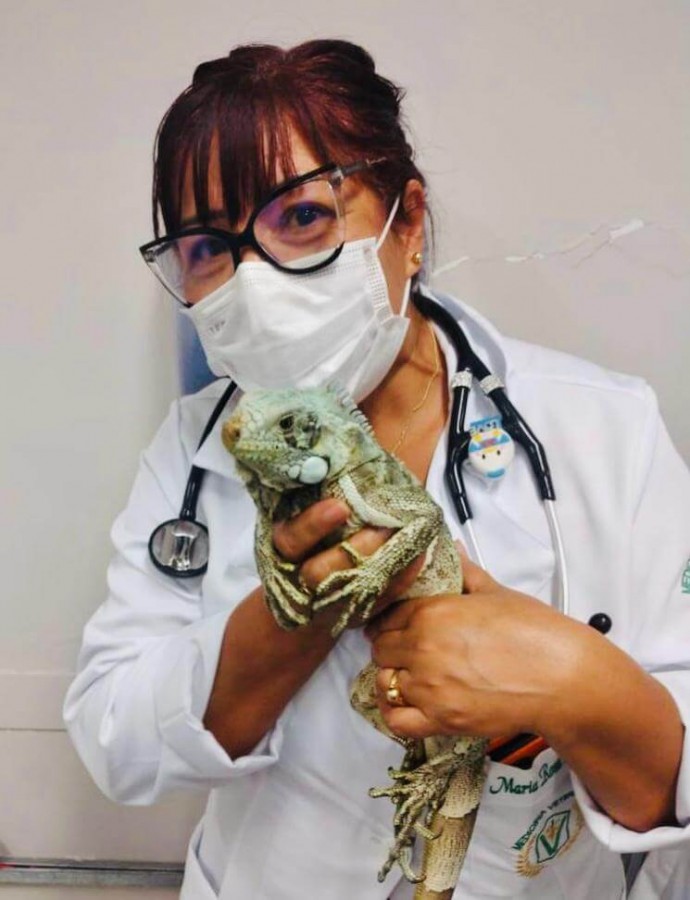 taking care of the iguana's health