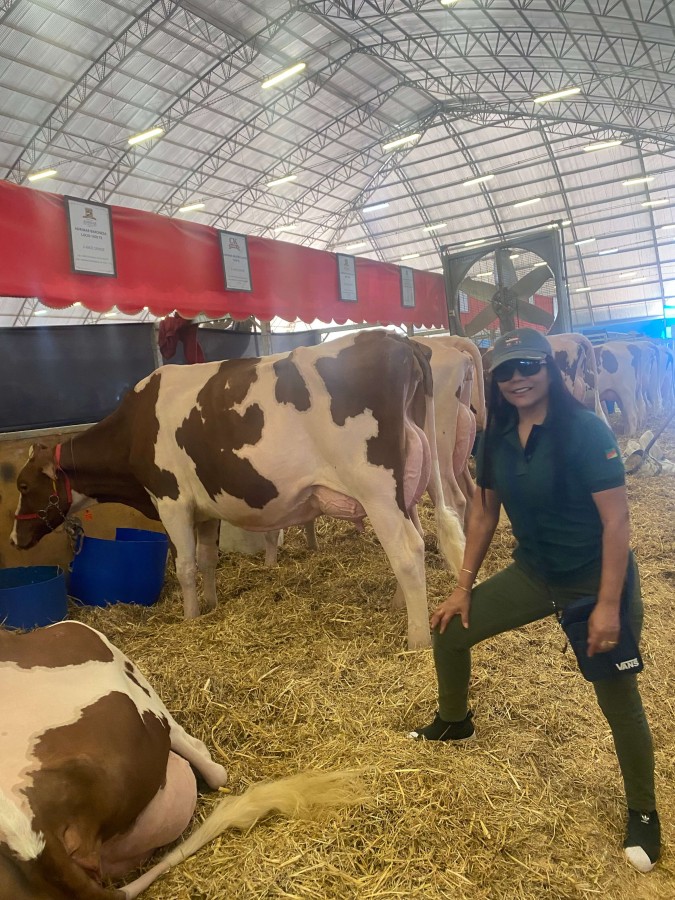 dairy cow show, September 2024