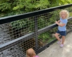 As a Family we are professional "Pooh Stick Players" (blame Winnie the Pooh) in summer months we spend a great deal of time outside.