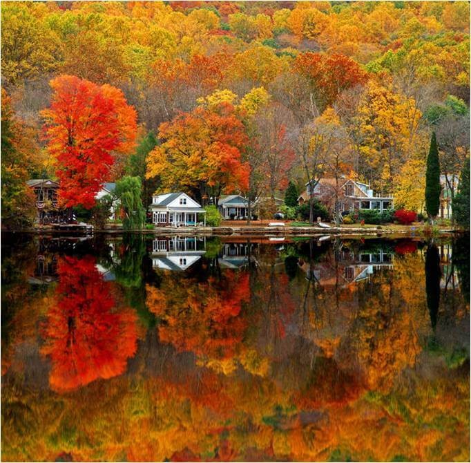 I would love to live in that little hollow along the river.