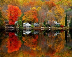 I would love to live in that little hollow along the river.