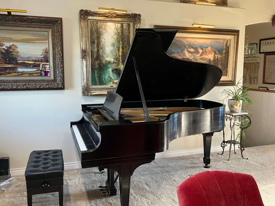 This is my new 7 ft Steinway concert piano in my living room. Just bought it!!  What a thrill to play on it.