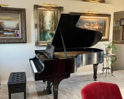 This is my new 7 ft Steinway concert piano in my living room. Just bought it!!  What a thrill to play on it.