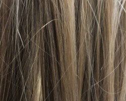 Must love LONG hair, I need a groomer! Having my hair brushed- is my DREAM