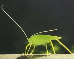 For the love of photography!